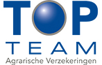 TopTeam logo
